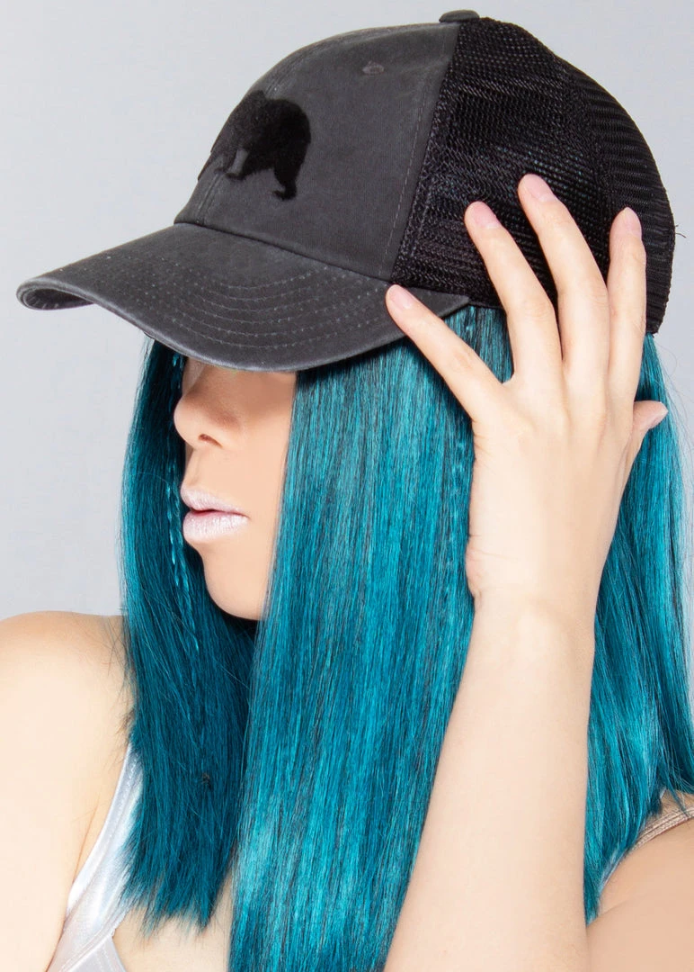 American Needle Accessories Cali Bear Raglan Hat