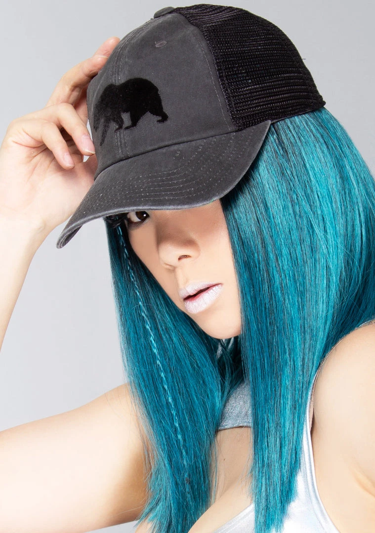 American Needle Accessories Cali Bear Raglan Hat