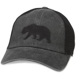 American Needle Accessories Cali Bear Raglan Hat
