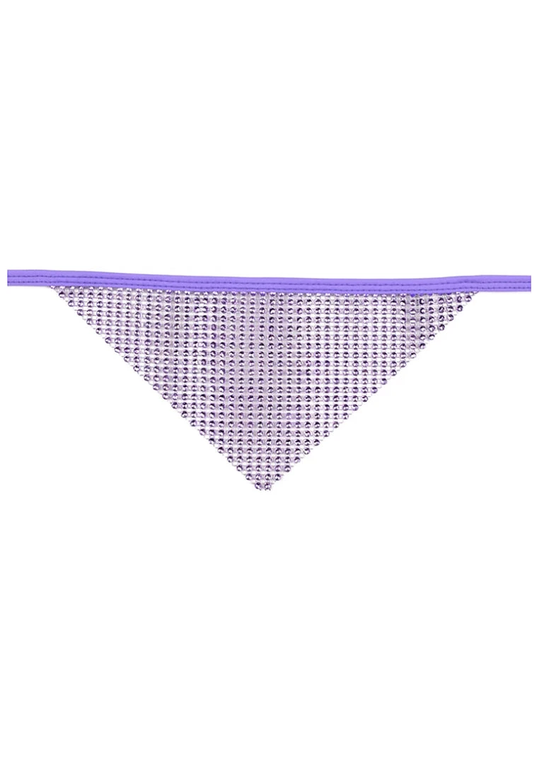 BGlittz Accessories Violet Crystal Face Mask