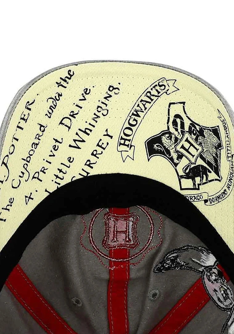 BIOWORLD X Harry Potter Hedwig Hogwarts Letter Raglan Hat The Great Fantastic