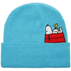 BIOWORLD X Peanuts Snoopy Doghouse Nap Beanie