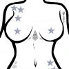 Pastease Accessories Body Minis Silver Glitter Star Nipple & Body Pasties 8PK Set