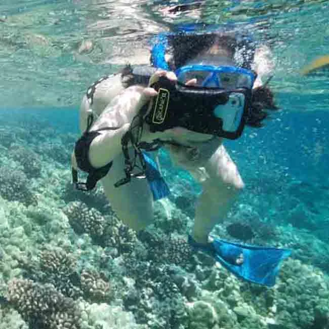 Accessories DiCAPac 5.1" Universal Waterproof Smartphone Case In Pink